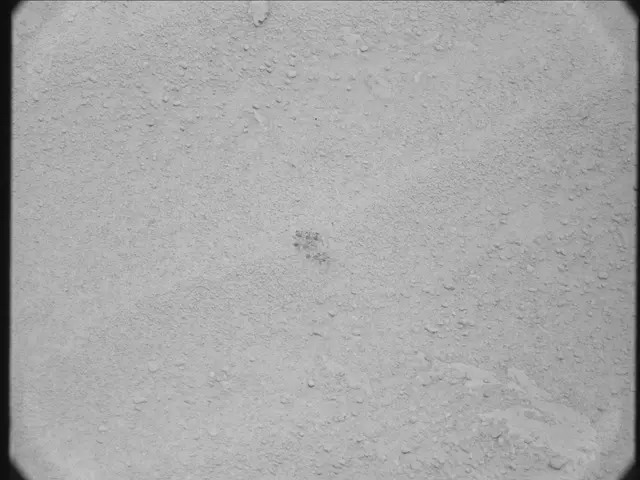 Sol 50: Mast Camera (Mastcam)
