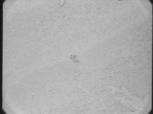 Sol 50: Mast Camera (Mastcam)