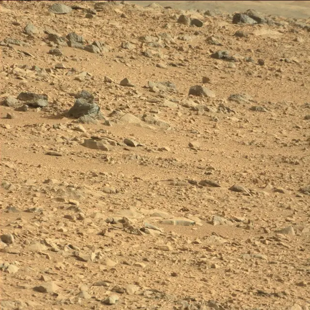 Sol 50: Mast Camera (Mastcam)