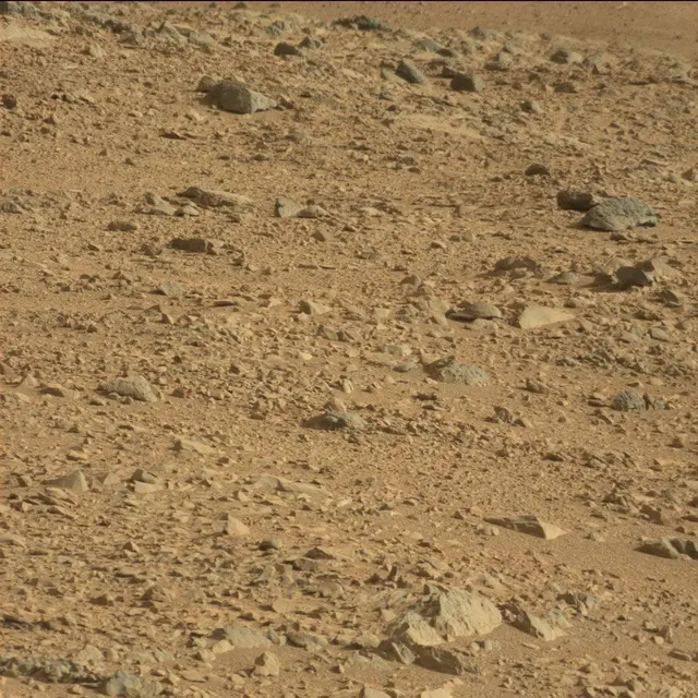 Sol 50: Mast Camera (Mastcam)