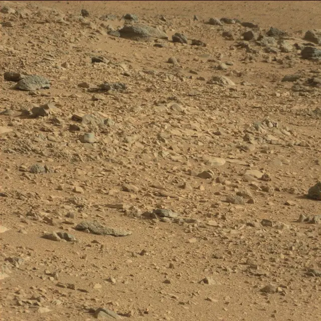 Sol 50: Mast Camera (Mastcam)