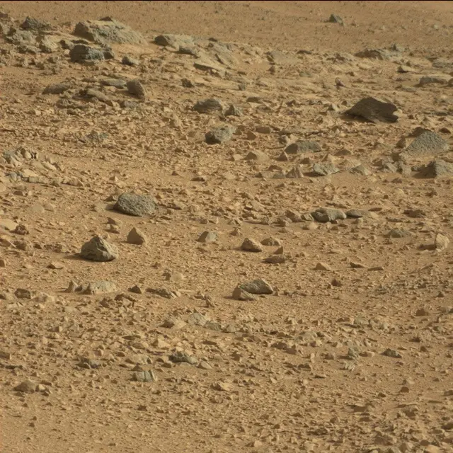 Sol 50: Mast Camera (Mastcam)