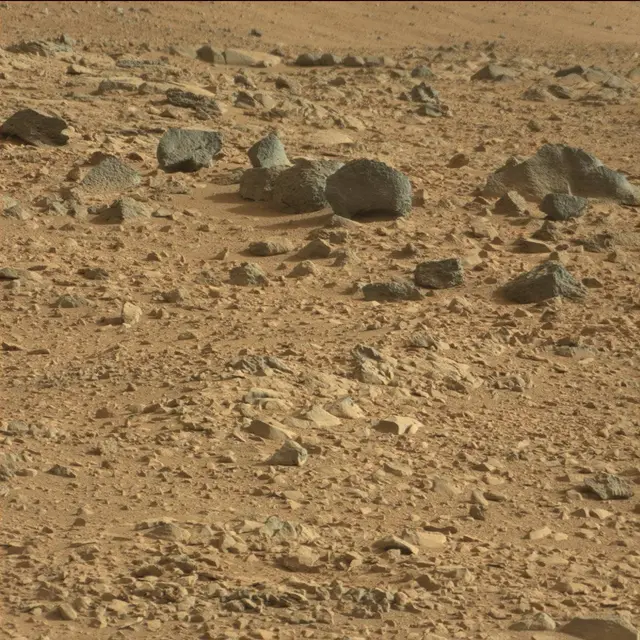 Sol 50: Mast Camera (Mastcam)