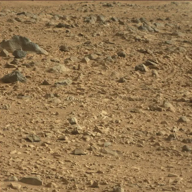 Sol 50: Mast Camera (Mastcam)