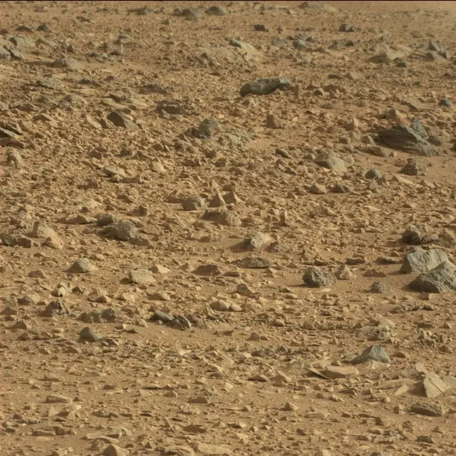 Sol 50: Mast Camera (Mastcam)