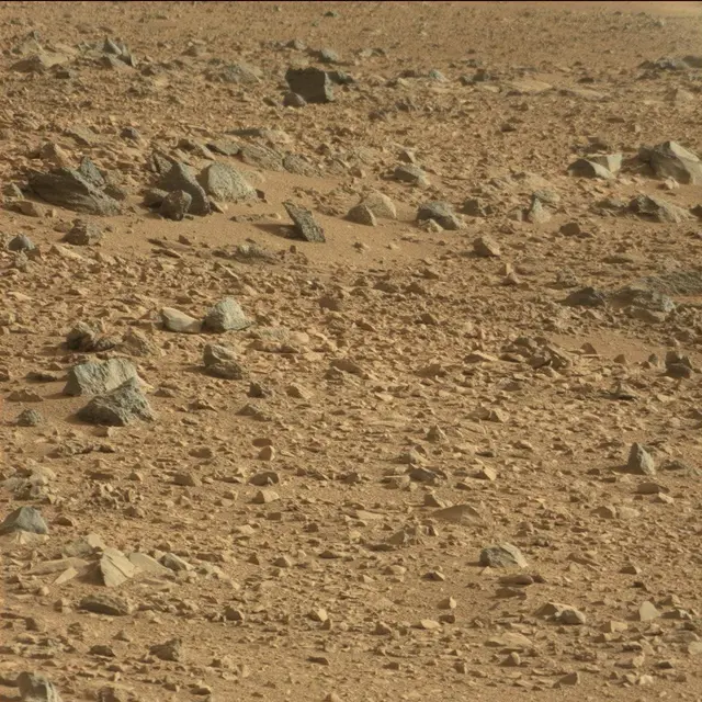 Sol 50: Mast Camera (Mastcam)