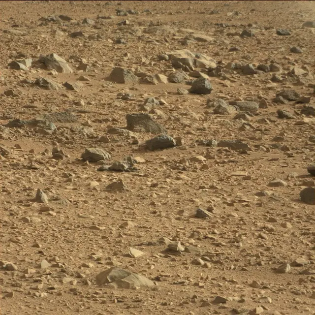 Sol 50: Mast Camera (Mastcam)