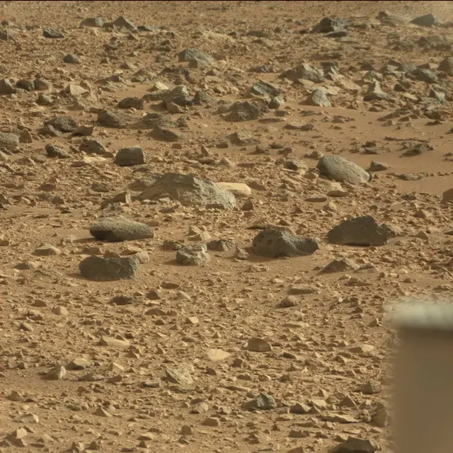 Sol 50: Mast Camera (Mastcam)