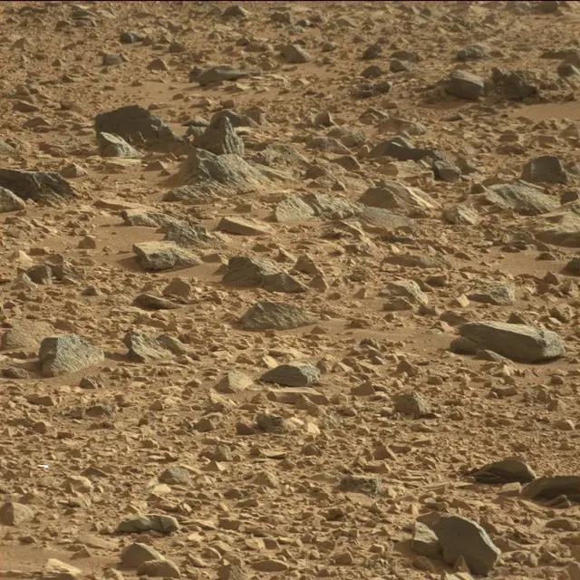 Sol 50: Mast Camera (Mastcam)