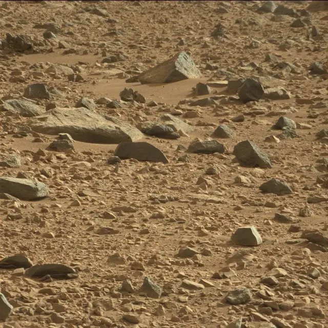 Sol 50: Mast Camera (Mastcam)