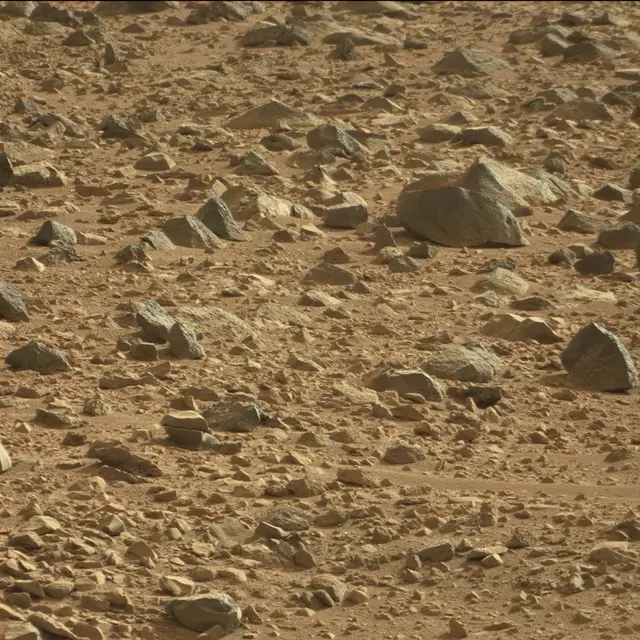 Sol 50: Mast Camera (Mastcam)
