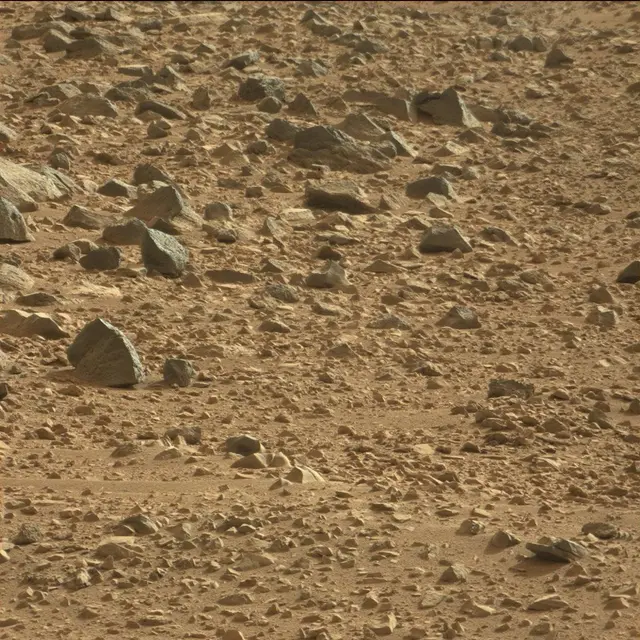 Sol 50: Mast Camera (Mastcam)