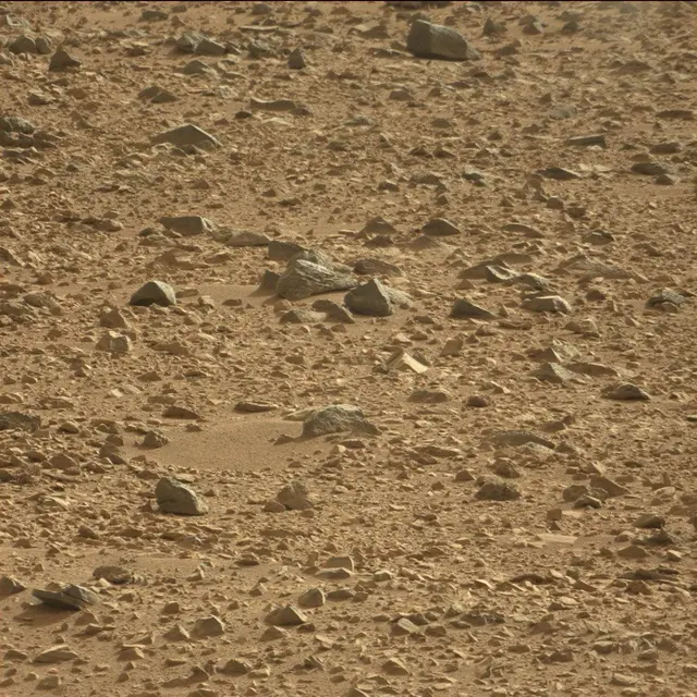 Sol 50: Mast Camera (Mastcam)