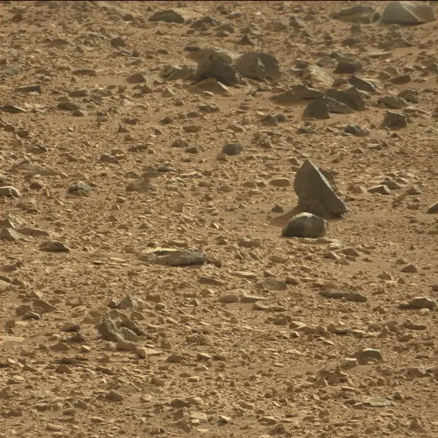 Sol 50: Mast Camera (Mastcam)