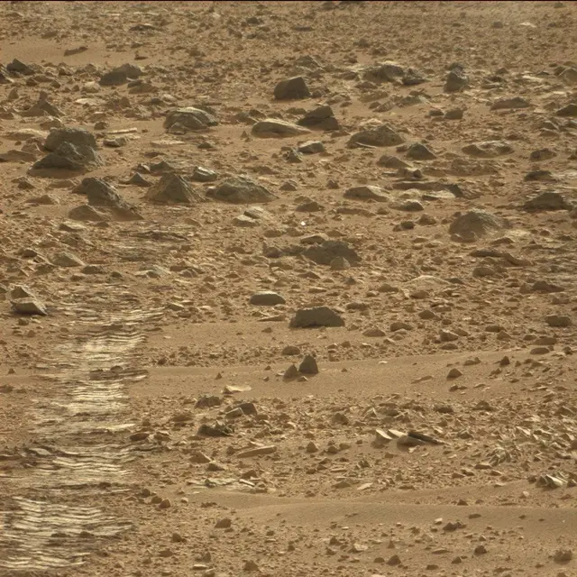 Sol 50: Mast Camera (Mastcam)