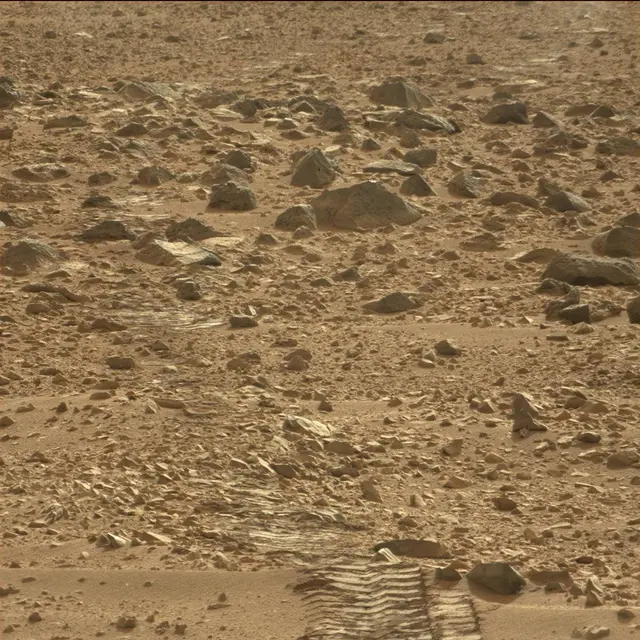 Sol 50: Mast Camera (Mastcam)