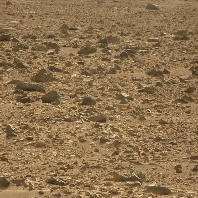 Sol 50: Mast Camera (Mastcam)