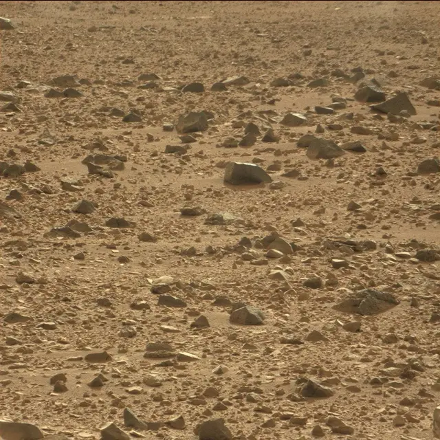 Sol 50: Mast Camera (Mastcam)