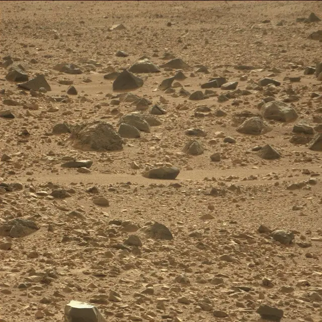 Sol 50: Mast Camera (Mastcam)