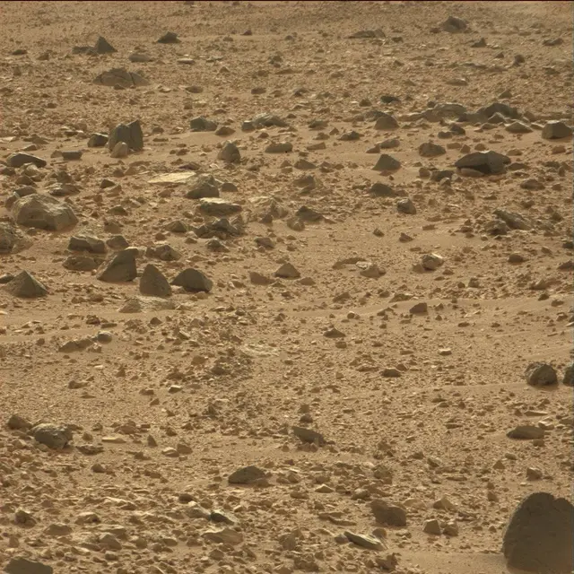 Sol 50: Mast Camera (Mastcam)