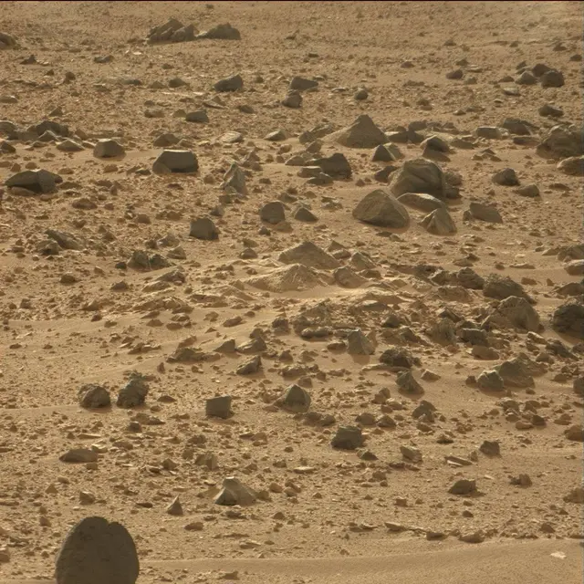 Sol 50: Mast Camera (Mastcam)