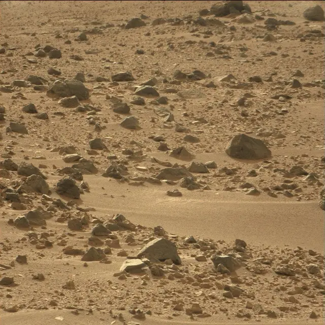 Sol 50: Mast Camera (Mastcam)