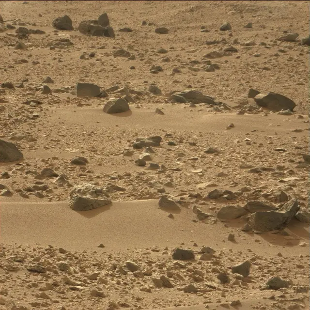 Sol 50: Mast Camera (Mastcam)