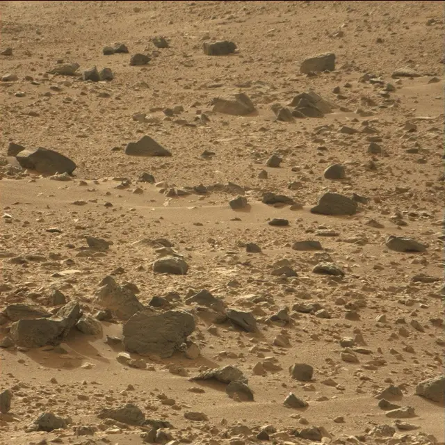 Sol 50: Mast Camera (Mastcam)