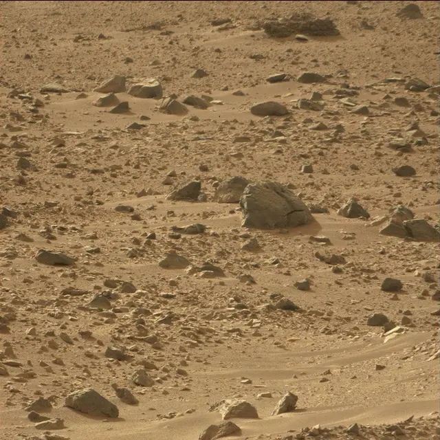 Sol 50: Mast Camera (Mastcam)