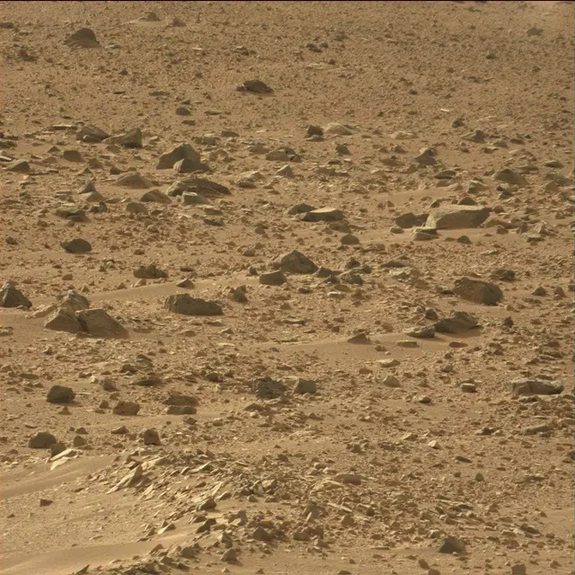 Sol 50: Mast Camera (Mastcam)