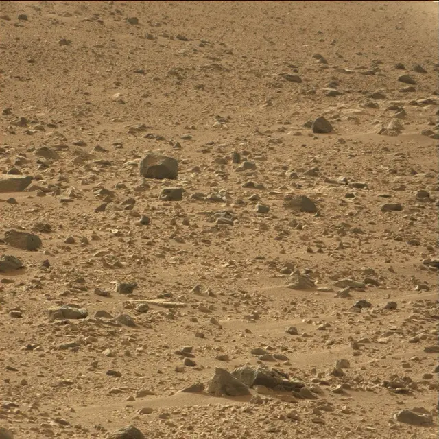 Sol 50: Mast Camera (Mastcam)