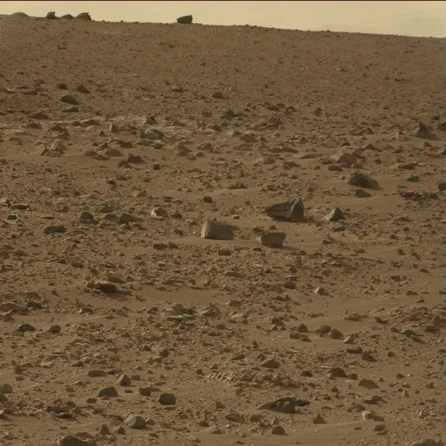 Sol 50: Mast Camera (Mastcam)