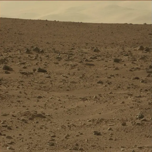 Sol 50: Mast Camera (Mastcam)