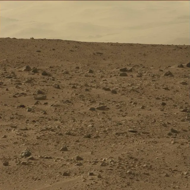 Sol 50: Mast Camera (Mastcam)