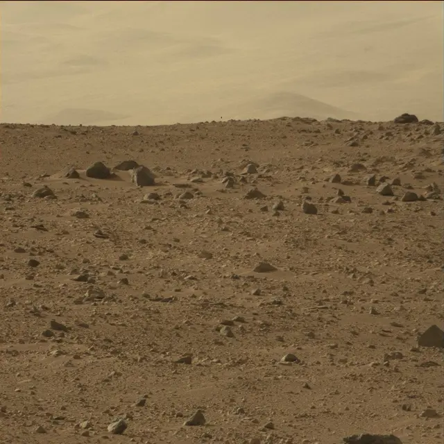 Sol 50: Mast Camera (Mastcam)