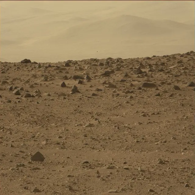 Sol 50: Mast Camera (Mastcam)