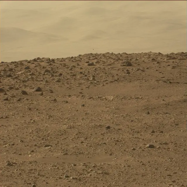 Sol 50: Mast Camera (Mastcam)
