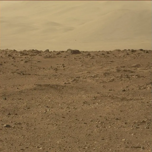 Sol 50: Mast Camera (Mastcam)