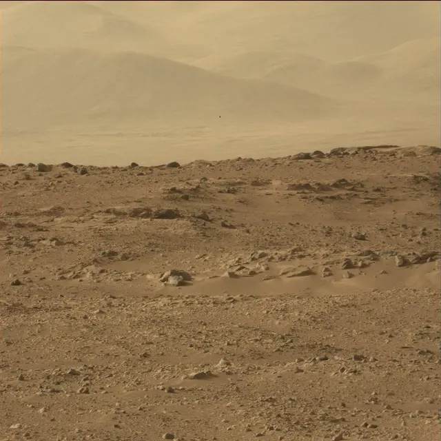 Sol 50: Mast Camera (Mastcam)