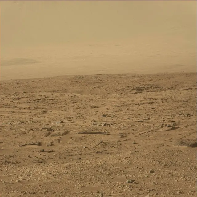 Sol 50: Mast Camera (Mastcam)