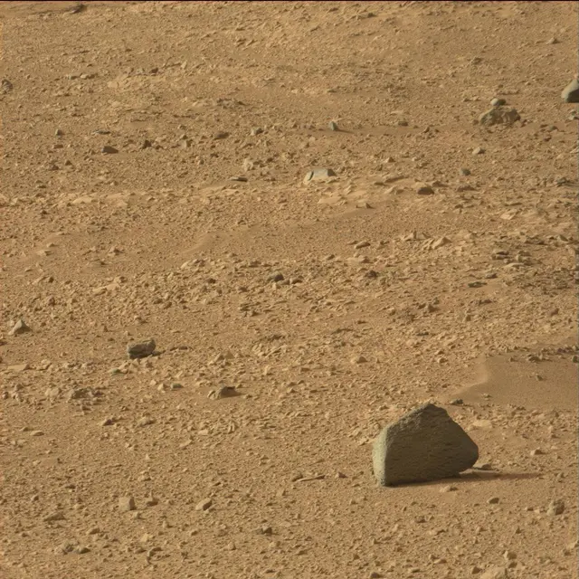 Sol 50: Mast Camera (Mastcam)