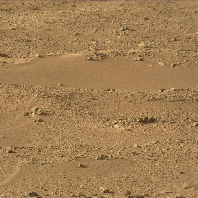 Sol 50: Mast Camera (Mastcam)