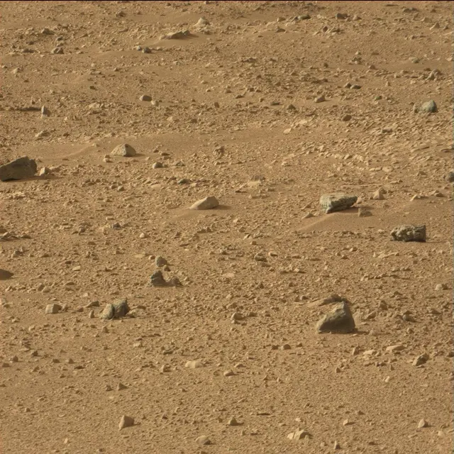Sol 50: Mast Camera (Mastcam)