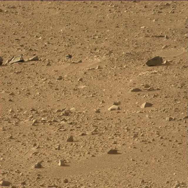 Sol 50: Mast Camera (Mastcam)