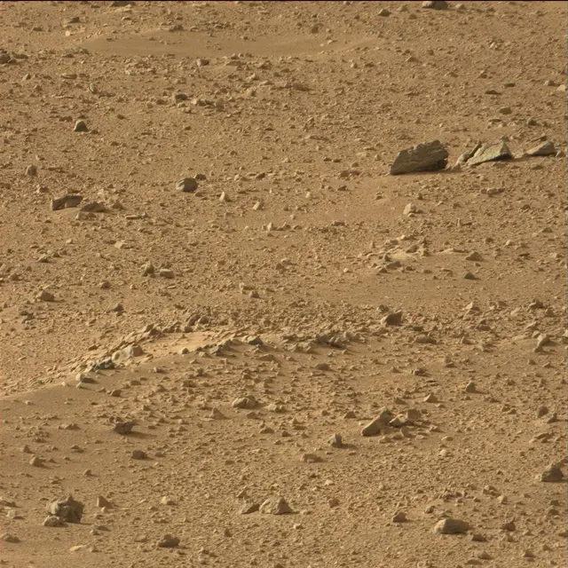 Sol 50: Mast Camera (Mastcam)