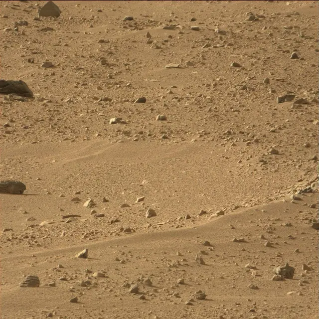 Sol 50: Mast Camera (Mastcam)