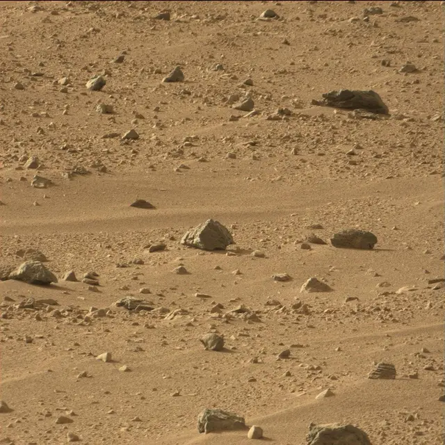 Sol 50: Mast Camera (Mastcam)