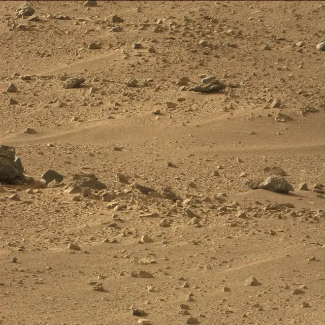 Sol 50: Mast Camera (Mastcam)