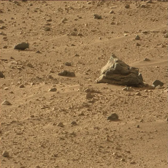 Sol 50: Mast Camera (Mastcam)
