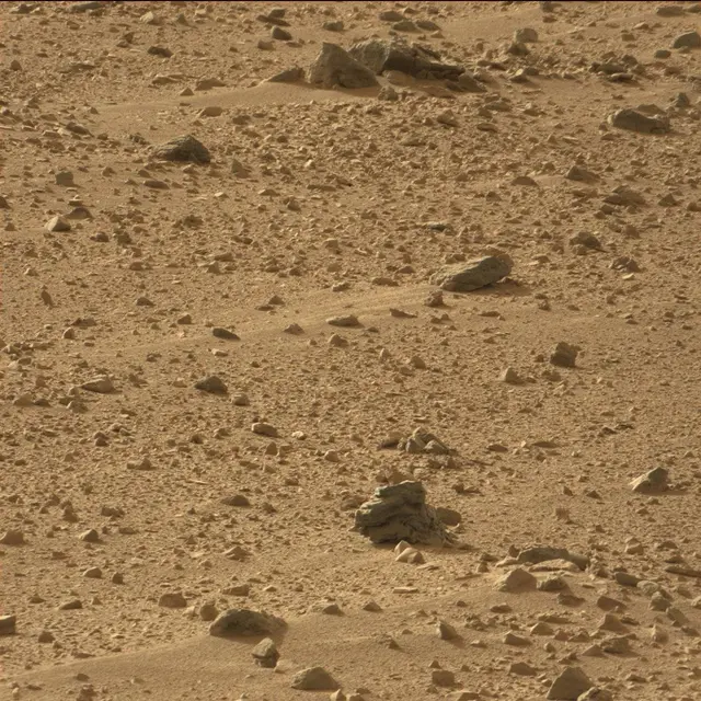 Sol 50: Mast Camera (Mastcam)